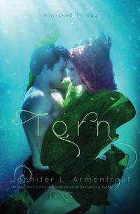 Cover image for Torn