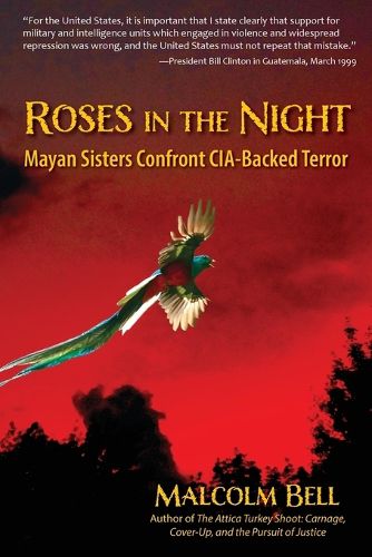 Cover image for Roses in the Night