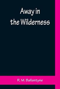 Cover image for Away in the Wilderness