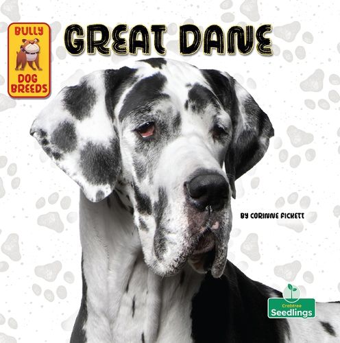 Cover image for Great Dane