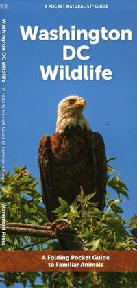 Cover image for Washington DC Wildlife: A Folding Pocket Guide to Familiar Animals