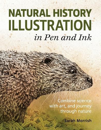Cover image for Natural History Illustration in Pen and Ink: Combine science with art, and journey through nature
