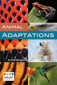 Cover image for Animal Adaptations