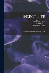 Cover image for Insect Life