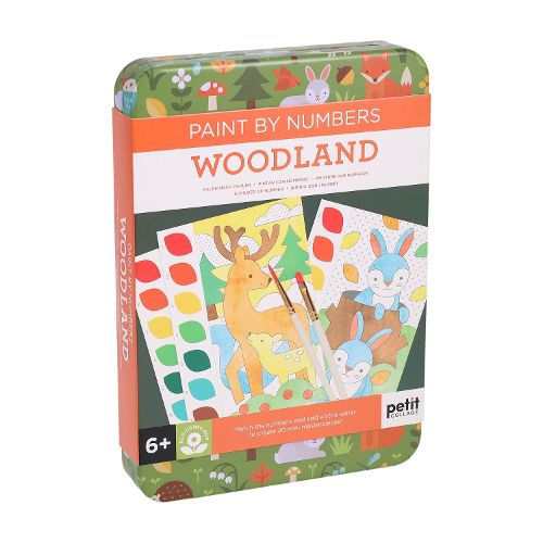 Cover image for Paint by Numbers: Woodland