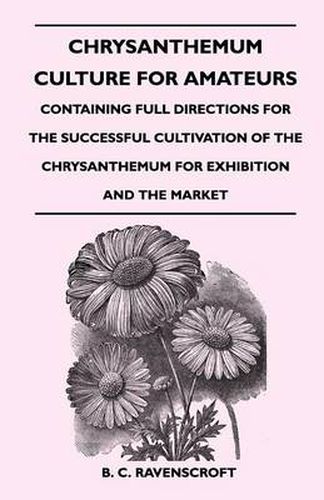 Cover image for Chrysanthemum Culture For Amateurs: Containing Full Directions For the Successful Cultivation of the Chrysanthemum For Exhibition and the Market