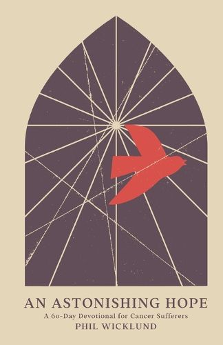 Cover image for An Astonishing Hope