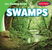 Cover image for Swamps