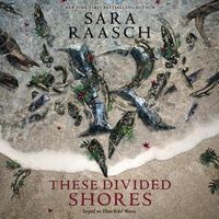 Cover image for These Divided Shores