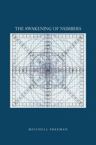 Cover image for The Awakening of Numbers