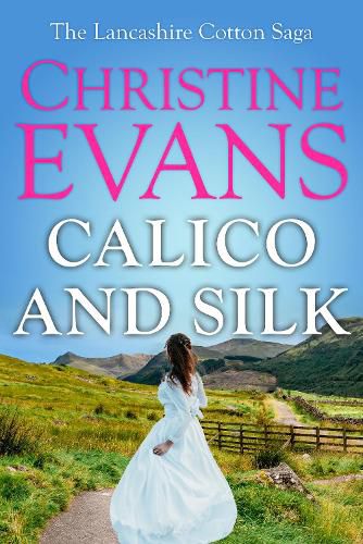 Cover image for Calico and Silk