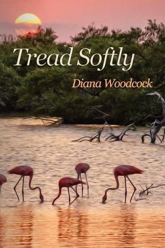 Cover image for Tread Softly