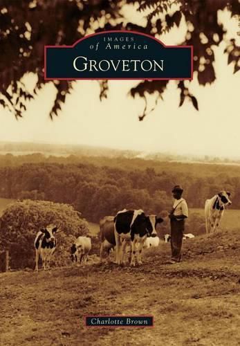 Cover image for Groveton