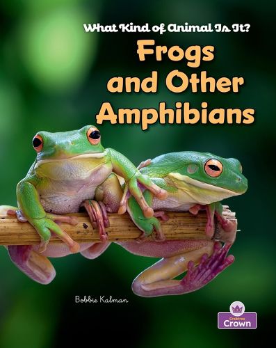 Cover image for Frogs and Other Amphibians