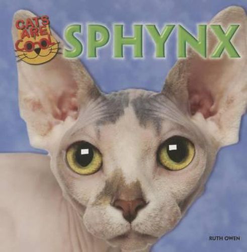 Cover image for Sphynx