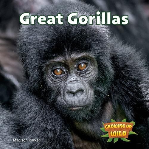 Cover image for Great Gorillas