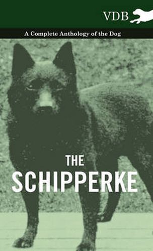 Cover image for The Schipperke - A Complete Anthology of the Dog