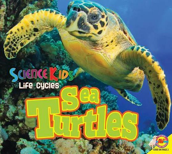 Cover image for Sea Turtles