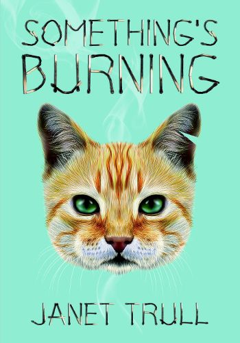 Cover image for Something's Burning
