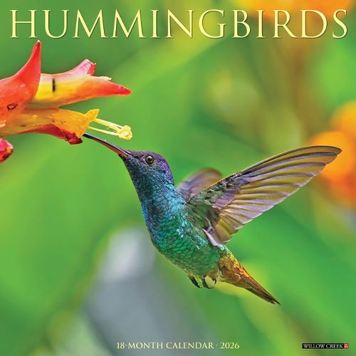 Cover image for Hummingbirds 2026 12 X 12 Wall Calendar