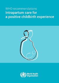 Cover image for WHO recommendations on intrapartum care for a positive childbirth experience