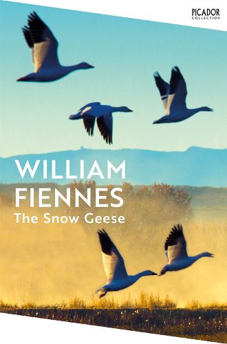 Cover image for The Snow Geese