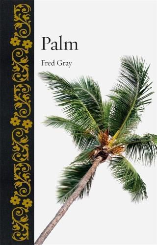 Cover image for Palm