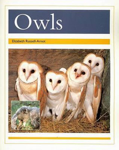 Cover image for Owls: Individual Student Edition Gold (Levels 21-22)