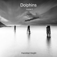 Cover image for Dolphins - Volume 3