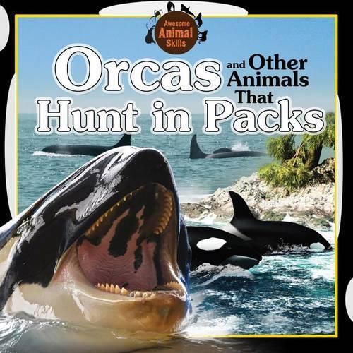 Cover image for Orcas and Other Animals That Hunt in Packs