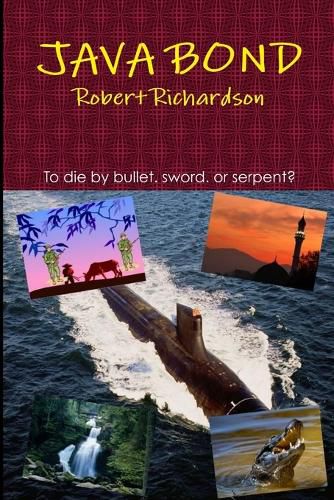 Cover image for Java Bond