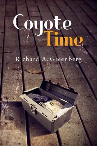 Cover image for Coyote Time