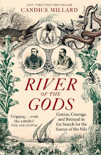 Cover image for River of the Gods