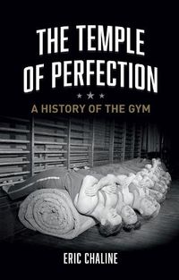 Cover image for The Temple of Perfection