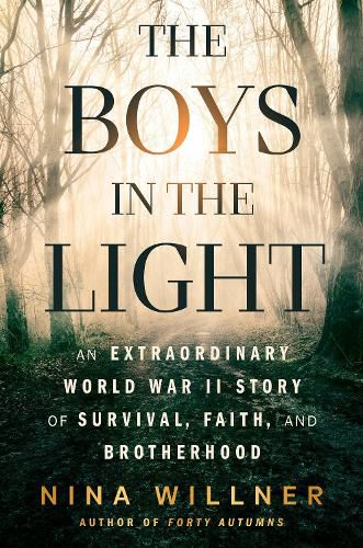 Cover image for The Boys in the Light