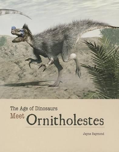 Cover image for Meet Ornitholestes