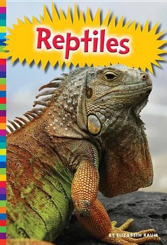 Cover image for Reptiles