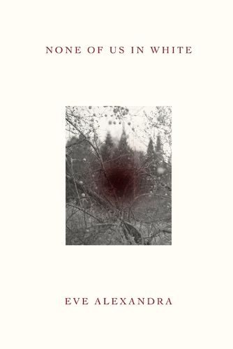 Cover image for None of Us in White