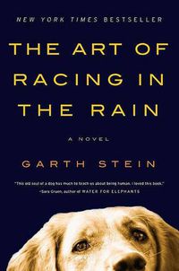 Cover image for The Art of Racing in the Rain