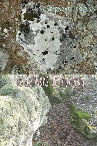 Cover image for Les dolmens de Montcuq
