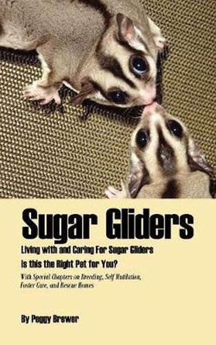 Cover image for Sugar Gliders