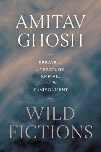 Cover image for Wild Fictions