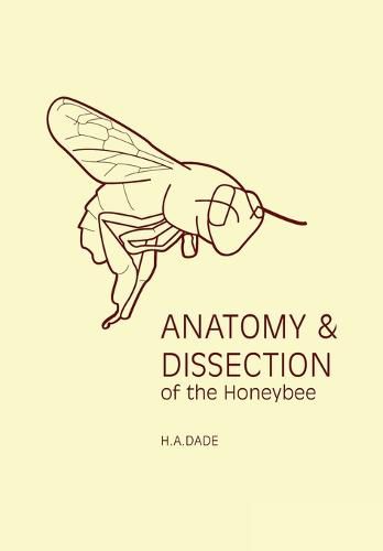 Cover image for Anatomy & Dissection of the Honeybee