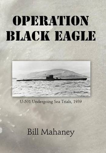 Cover image for Operation Black Eagle