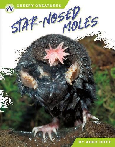 Cover image for Star-Nosed Moles