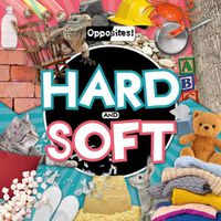 Cover image for Hard and Soft