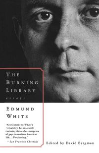 Cover image for The Burning Library: Essays