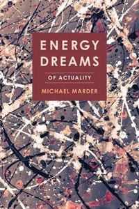 Cover image for Energy Dreams: Of Actuality