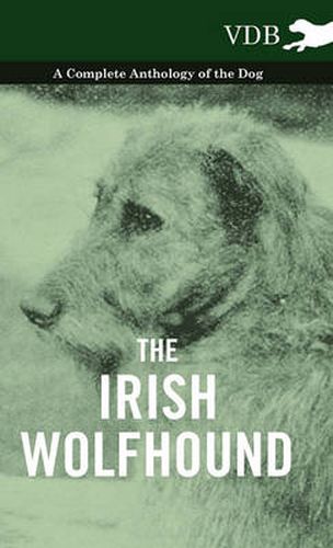 Cover image for The Irish Wolfhound - A Complete Anthology of the Dog