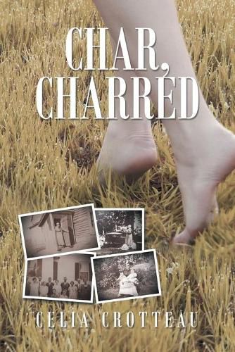 Cover image for Char, Charred